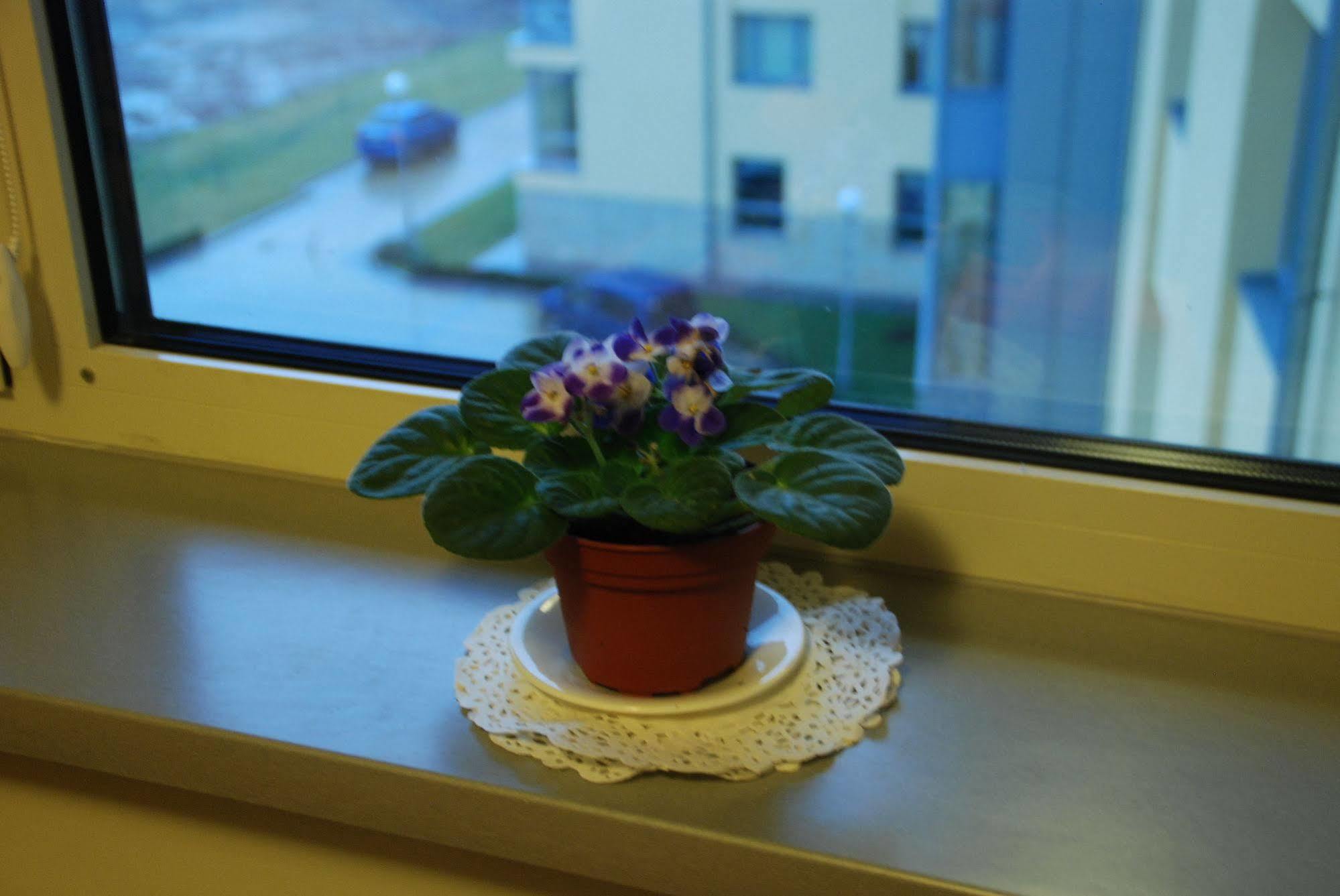 UCU INN - Кімнати для гостей Львов Экстерьер фото